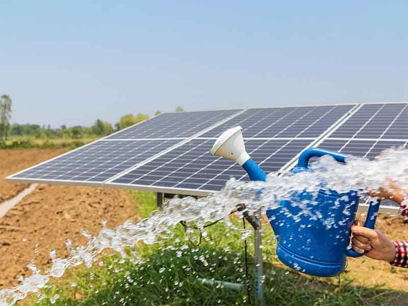 Solar panels and solar water pumps in agriculture